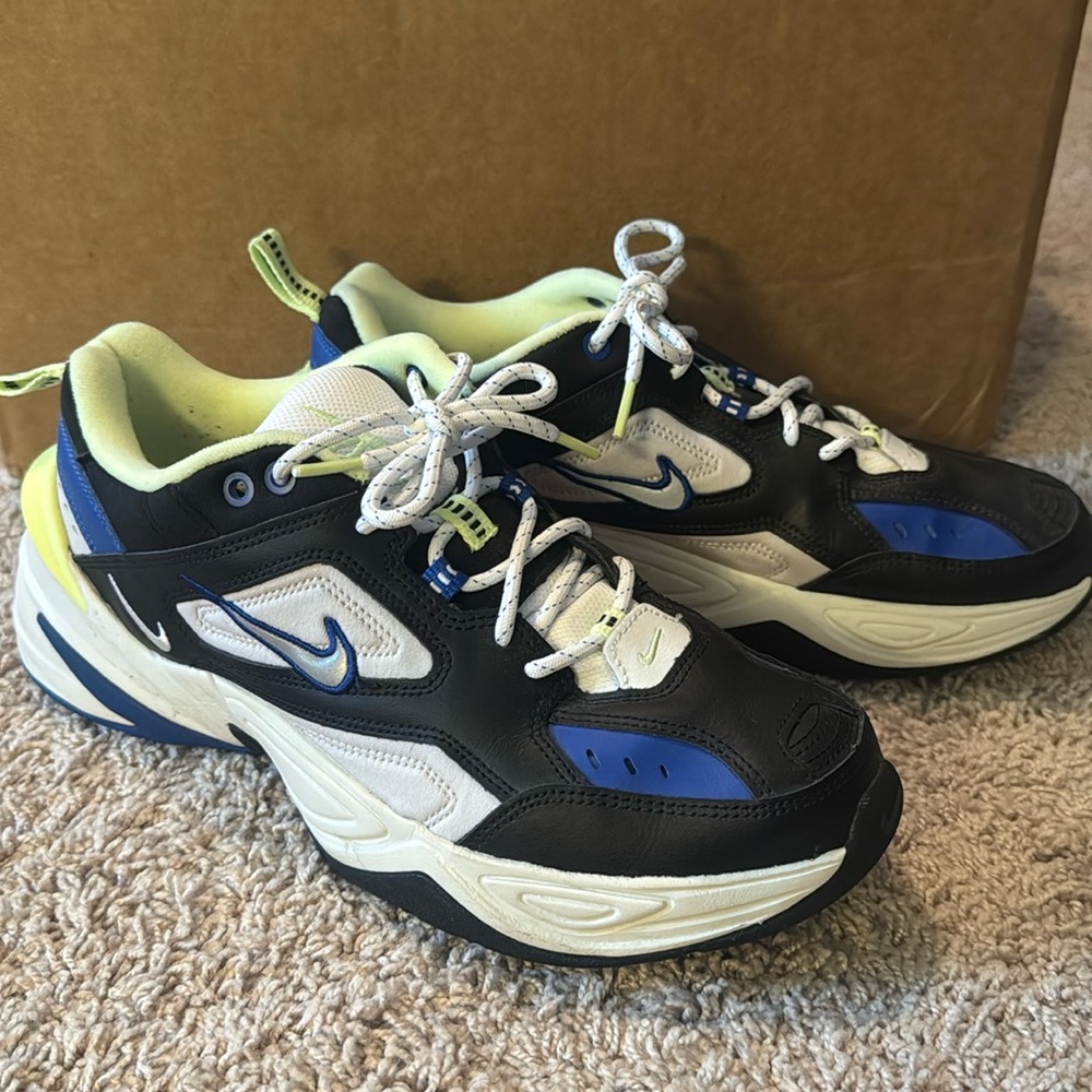 Nike men’s shoes size 10 / only worn a couple times / no original box